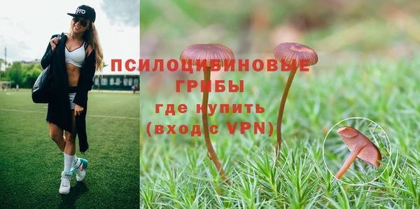 мяу мяу мука Армянск