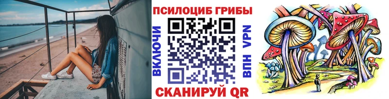 Купить где  Микунь  Псилоцибиновые грибы ЛСД 